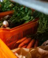Click & Collect le Potager